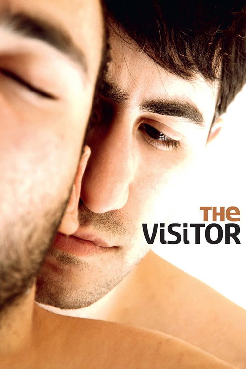 The Visitor (2011) poster