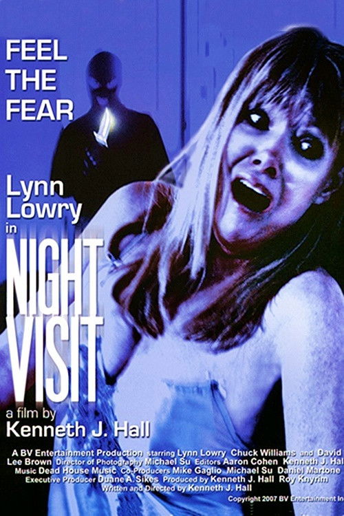 Night Visit (2007) poster