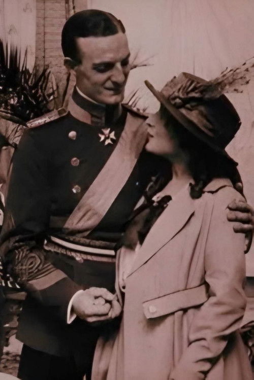 His Highness is Having a Good Time (1917) poster