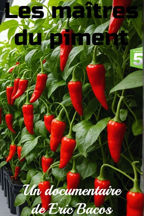 Les maîtres du piment (2023) poster