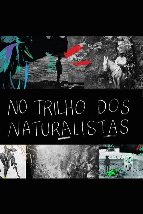 No Trilho dos Naturalistas: Angola (2016) poster