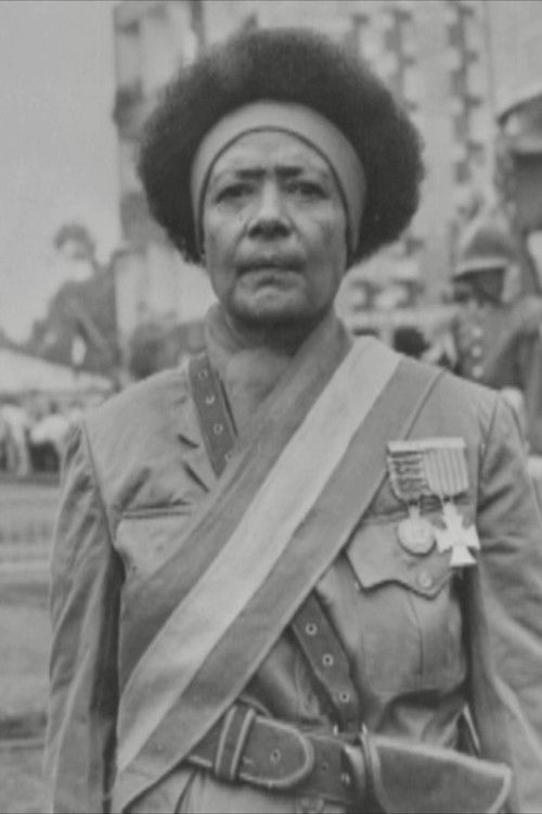 Black Lions – Roman Wolves (2026) poster