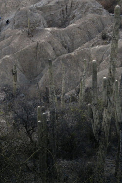 Ollin Blood (2022) poster