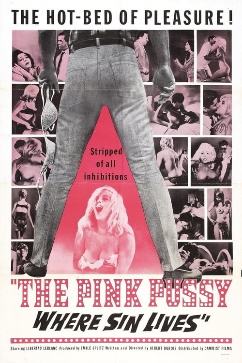 Harassed (1964) poster