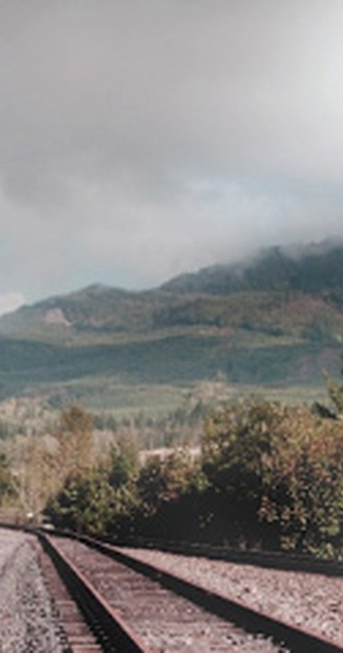 The Rambler (2008) poster