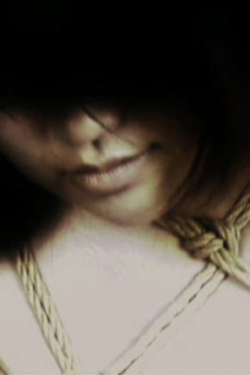 Kinbaku (2010) poster