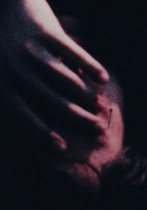 Chameleon (1969) poster