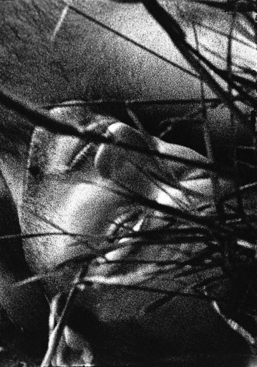 The Urine Crazed Corpse Catchers (1988) poster