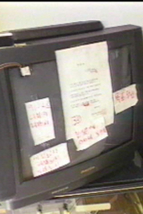 People In A Flood Of Media (1995) poster