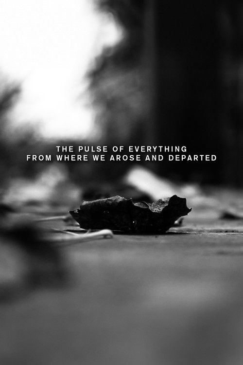 The pulse of everything from where we arose and departed (2023) poster