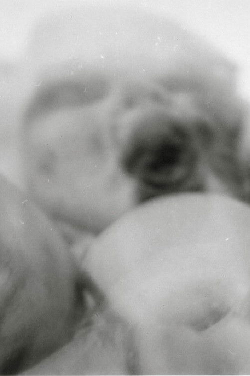 The Vanished (2000) poster