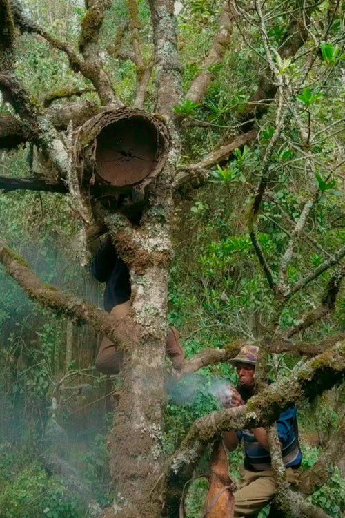 The Harvesters (2018) poster