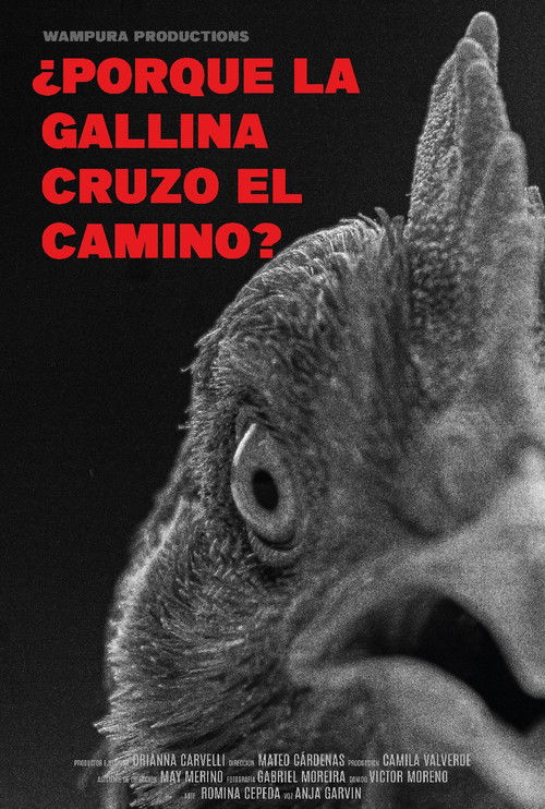 ¿Por qué la gallina cruzó el camino? (2024) poster