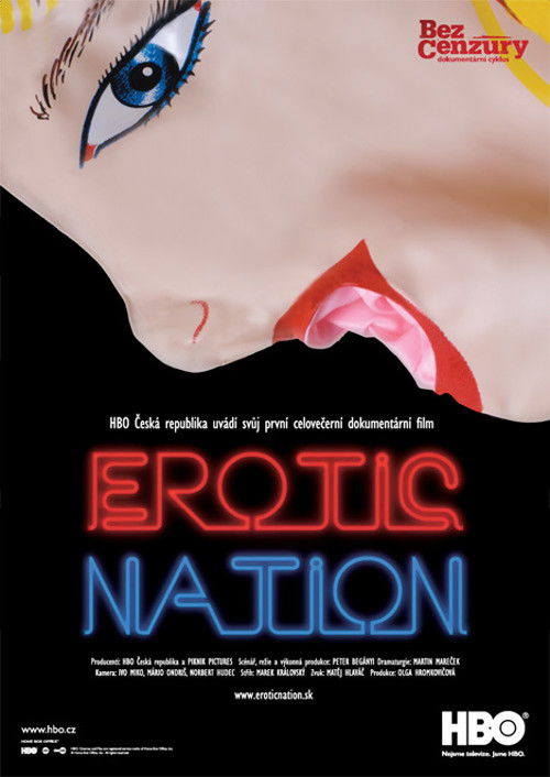 Erotic Nation (2010) poster