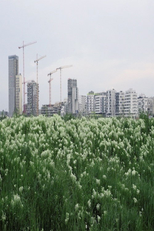 The Best City is No City at All (2020) poster