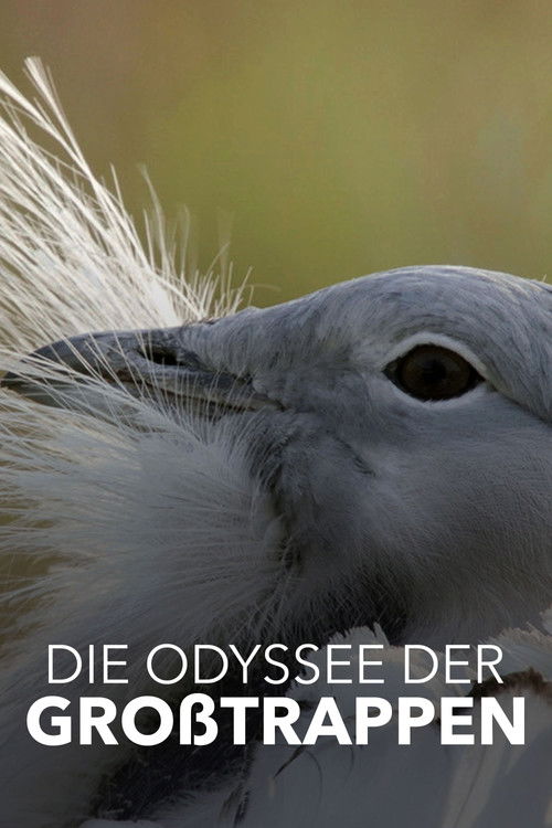 Die Odyssee der Großtrappen - Das Comeback der Riesenvögel (2021) poster