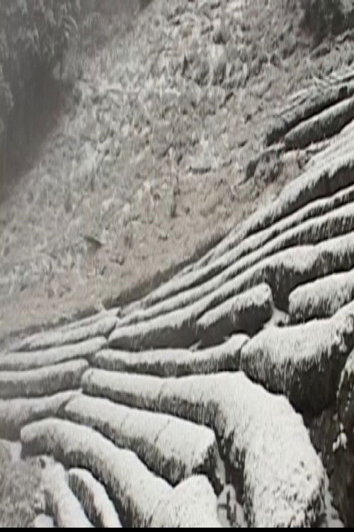 Osawa Winter (2015) poster