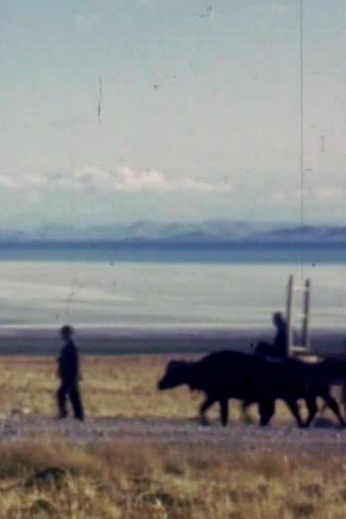 Istanbul - Baghdad - Teheran: 1944-58 (1958) poster