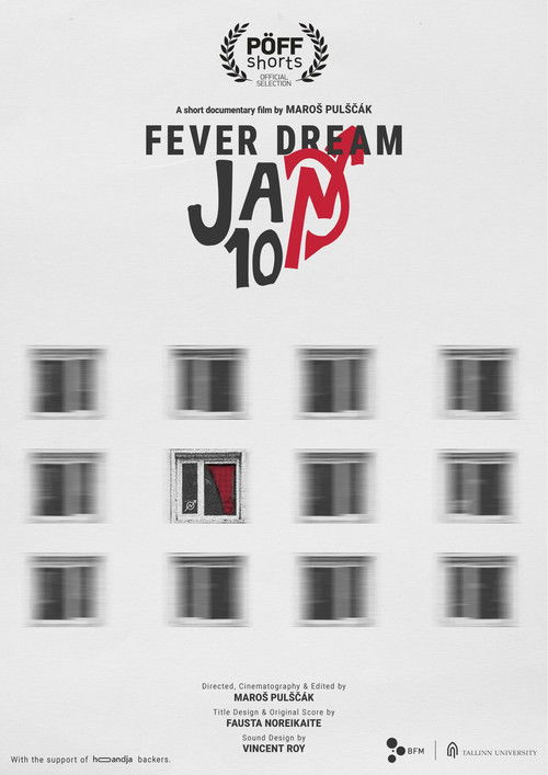 Fever Dream Jan10 (2024) poster