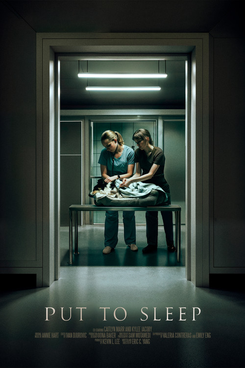 Put To Sleep (2024) poster