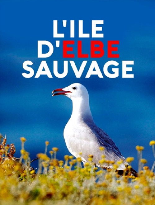 Wildes Elba (2019) poster