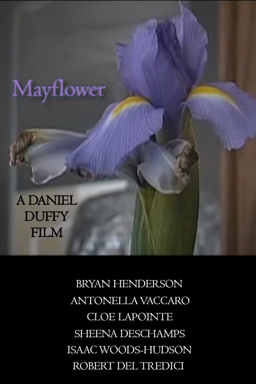 Mayflower (2008) poster