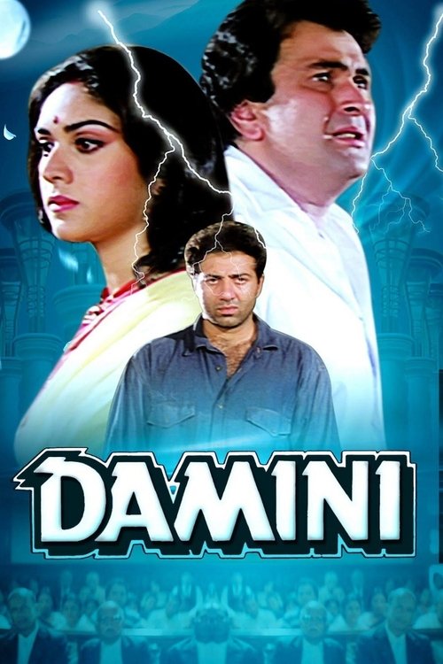 Tanık / Damini (1993) poster