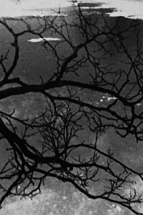 Configuration 20 (1994) poster