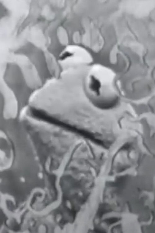 Visual Thinking (1961) poster