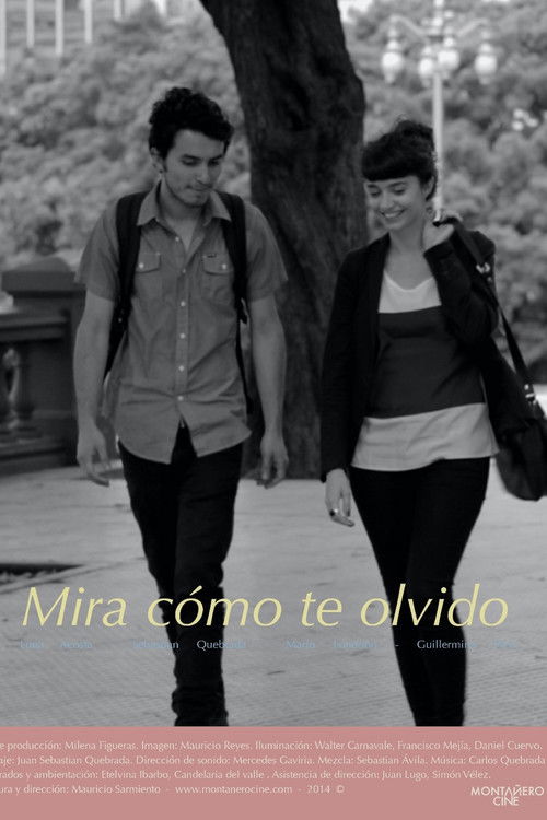 Watch How I Forget You (2016) poster