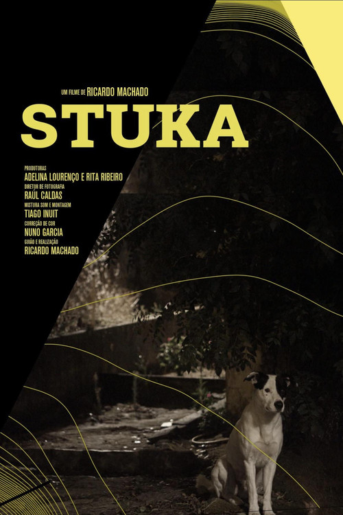 Stuka (2018) poster