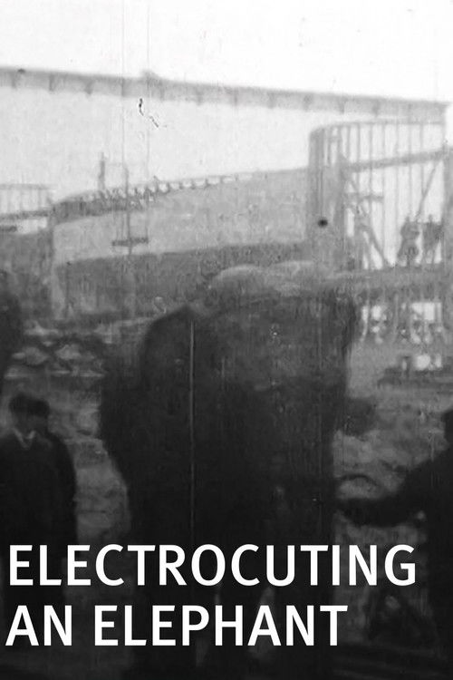 Electrocuting an Elephant (1903) poster