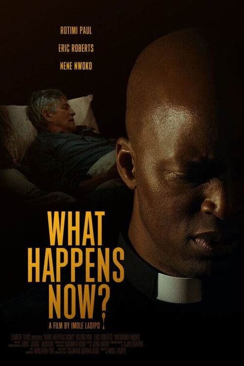 What Happens Now? (2025) poster