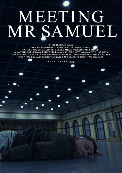 Meeting Mr Samuel (2023) poster