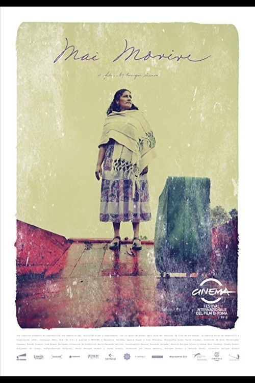 Never Die (2013) poster