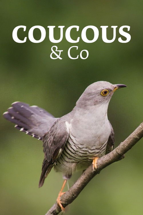 Überraschungseier - Neues von Kuckuck und Co. (2018) poster