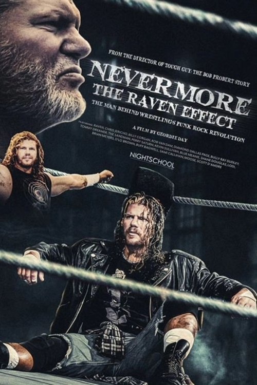 Nevermore: The Raven Effect (2025) poster