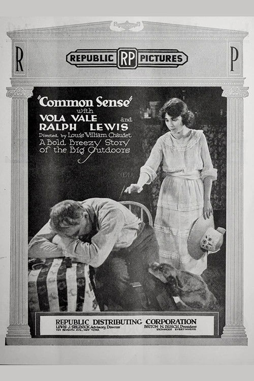 Common Sense (1920) poster