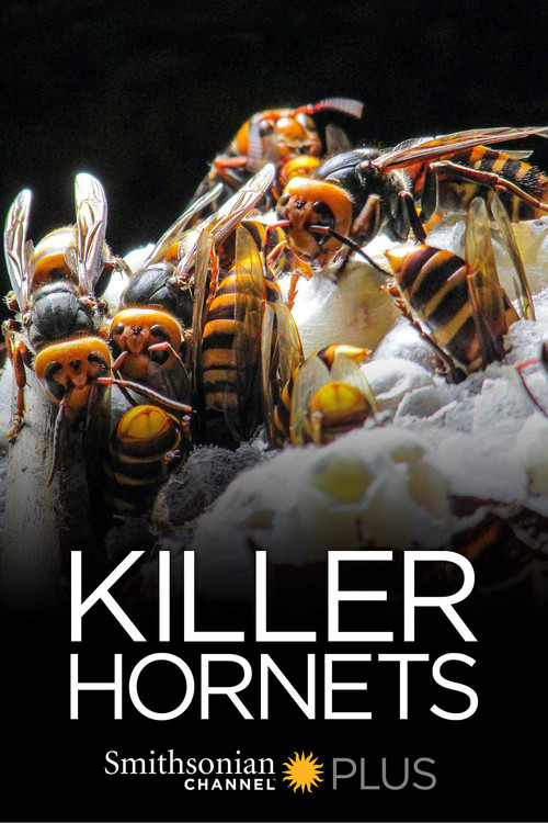 Killer Hornets (2016) poster