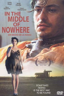 In The MIddle of Nowhere (1993) poster