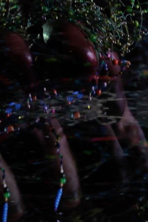 Good Stock On The Dimension Floor: An Opera (2014) poster