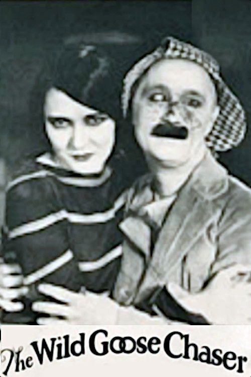 The Wild Goose Chaser (1925) poster