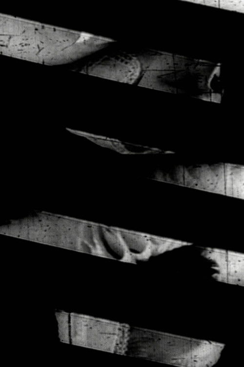 Window of the World Part 1: Hairstyle Colidascope (2019) poster