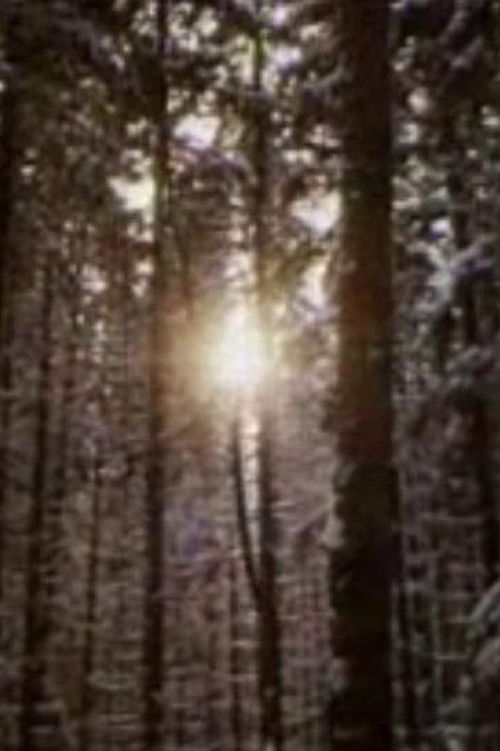 The Forest and the Man (1966) poster