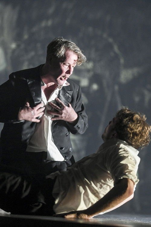 Erniedrigte und Beleidigte (2019) poster