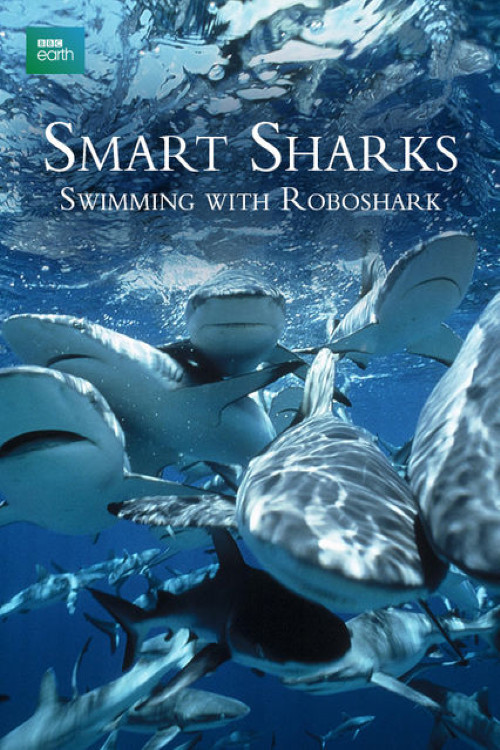 Smart Sharks: Swimming With Roboshark (2003) poster