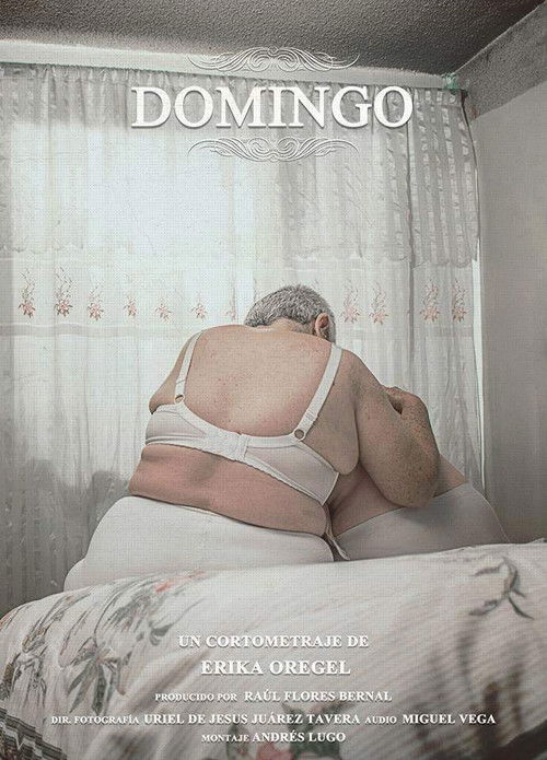 Domingo poster