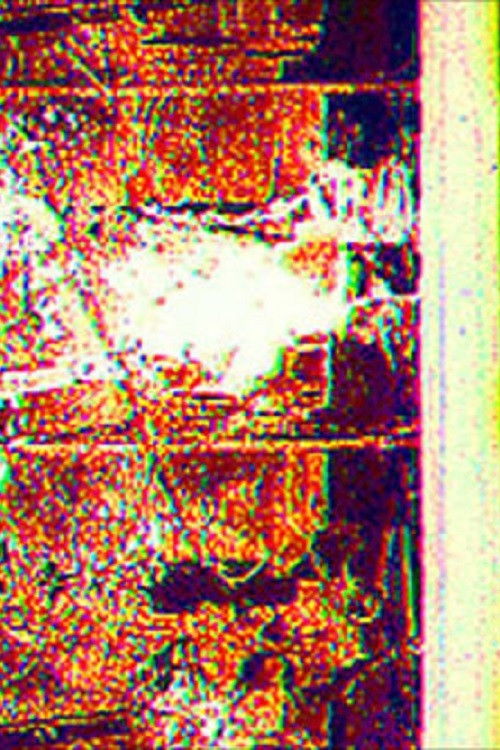 L’Invitation au Voyage (2003) poster