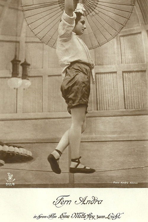 Eine Motte flog zum Licht (1915) poster