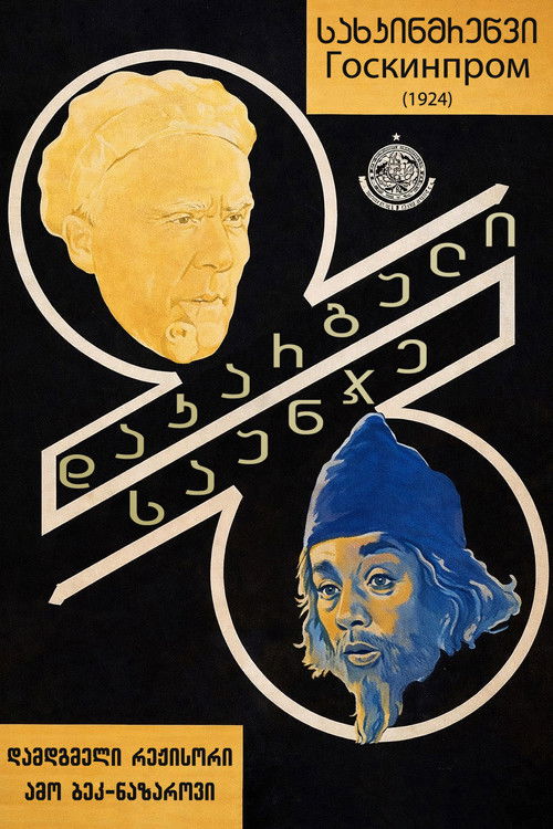 დაკარგული საუნჯე (1924) poster